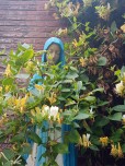 vierge-a-la-tchicass-new.jpg